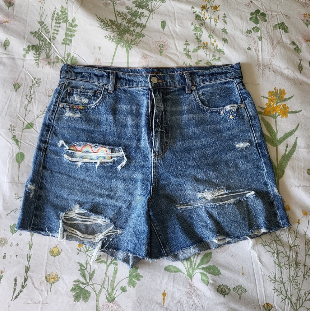 High Rise Pride Denim Shorts